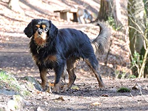 January 2017 Photo 28